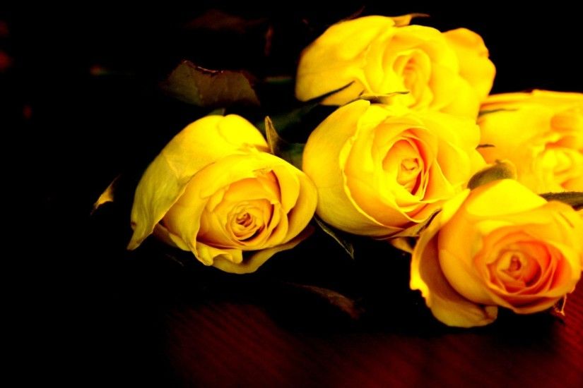 Yellow Roses Background