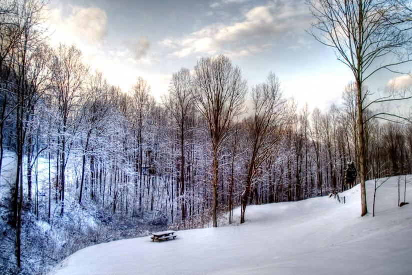 1920*1200 Widescreen Winter Snow Scenes - Dreamy Winter Snow Wallpaper .