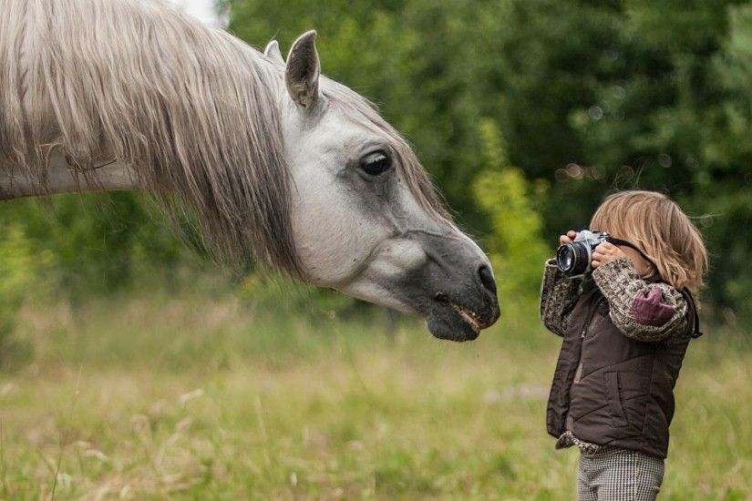 horse horse face mane boys photos paparazzi a camera