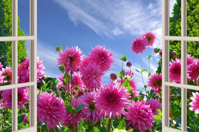 Lovely Summer Beautiful View Freshness Day Spring Garden Pretty Sky Window  Flowers Wallpapers Download Hd - 1920x1440