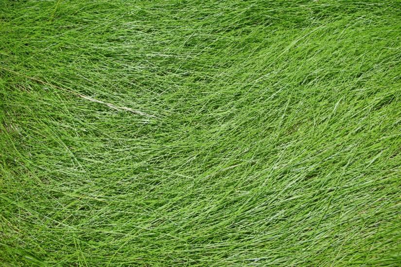 grass background 2592x1568 retina