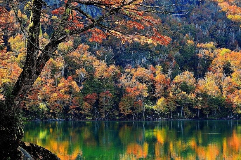 Chile, Lake, Trees, Fall, Mountain, Forest, Water, Nature, Landscape  Wallpapers HD / Desktop and Mobile Backgrounds