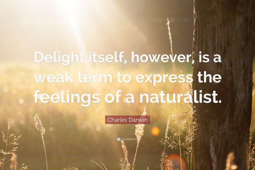 Charles Darwin Quote: “Delight itself, however, is a weak term to express