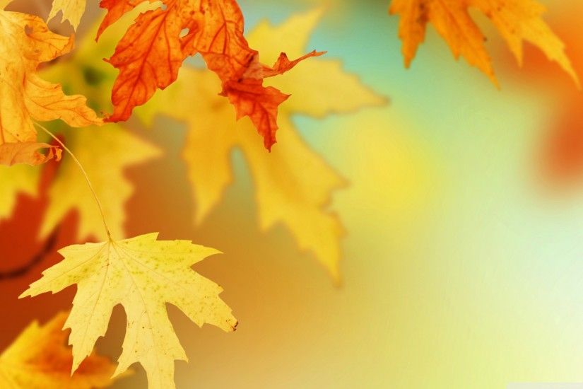 Free Autumn Leaves Wallpaper