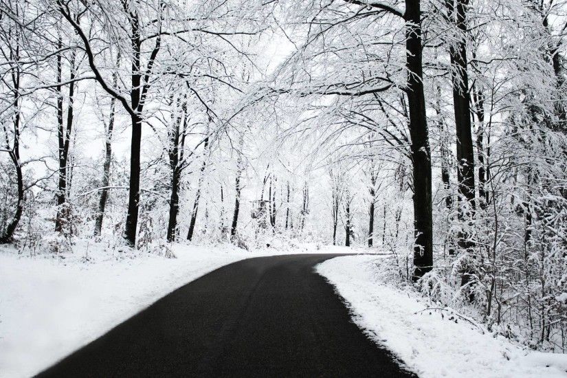 Snow Winter Scene HD Wallpaper 1920x1080