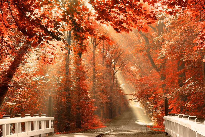 Autumn Nature Desktop Backgrounds