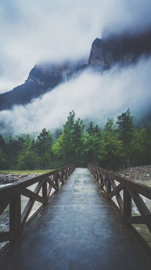 Forest River Crossing Mountain Fog #iPhone #6 #plus #wallpaper