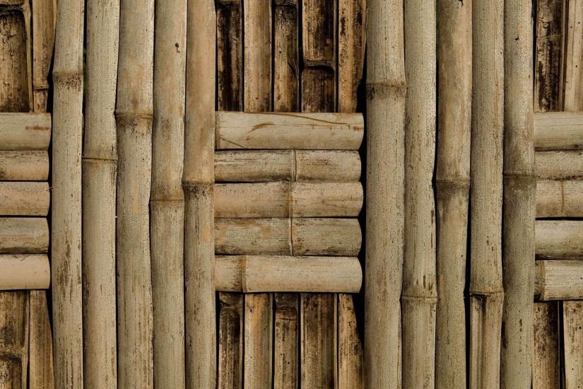 popular bamboo background 1920x1200