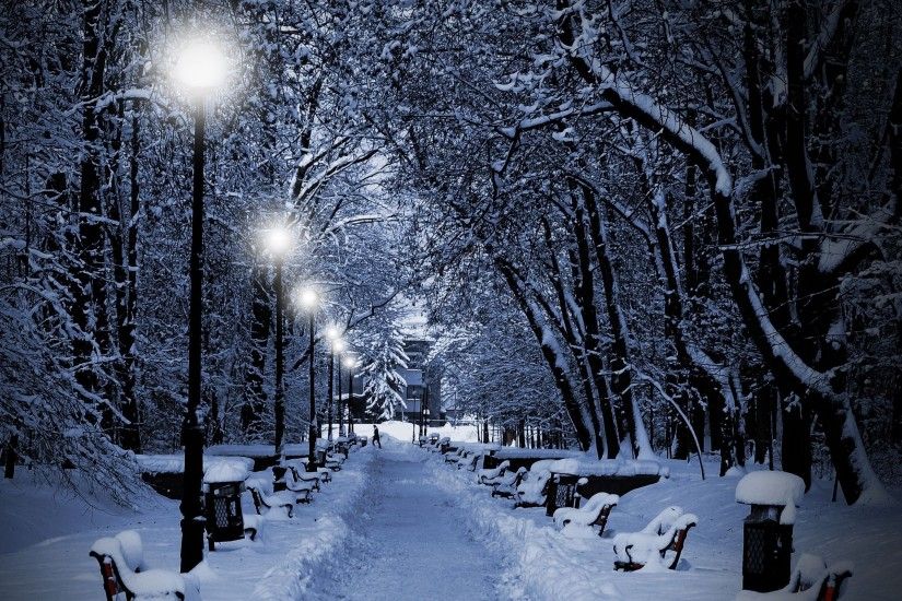 Winter Trees Lamps & Way wallpapers and stock photos