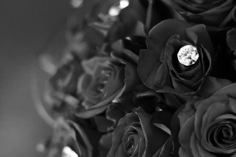 693 0: Rose Flower With Diamond Dark Bw Love Propose iPad wallpaper