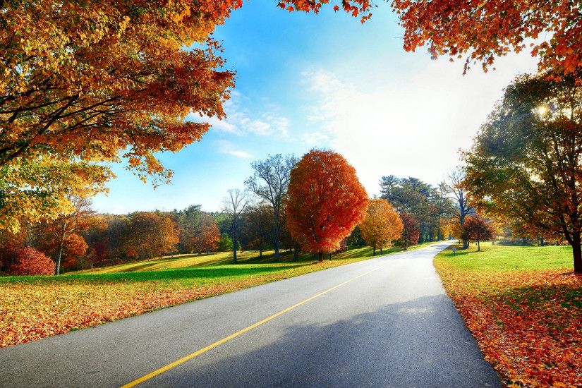 Beautiful autumn road scenery wallpapers – Free full hd wallpapers .