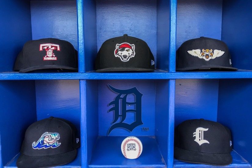 Detroit Tigers Affiliates 2018