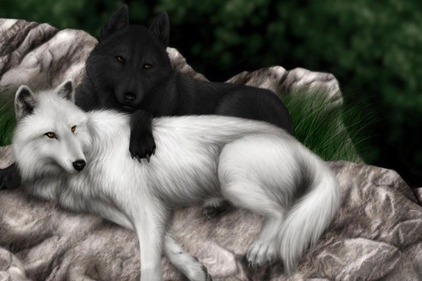 Wolf Tag - Black White Wolf Wolves Animal Pictures Real for HD 16:9 High