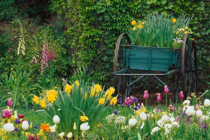 Flower Cart In The Garden WallDevil