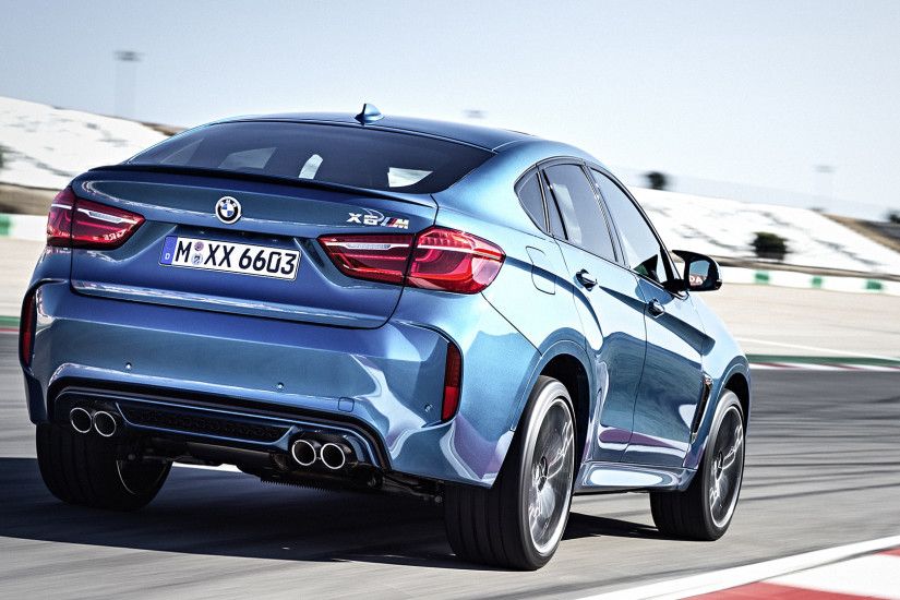2016 BMW X6 M picture