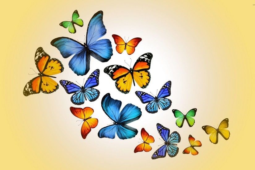 Orange and blue butterflies wallpaper