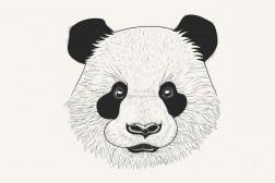 panda wallpaper 300x168 image