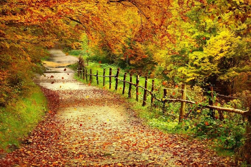 fall pictures | Autumn Love Wallpaper Landscape Backgrounds was added by  Ethel…