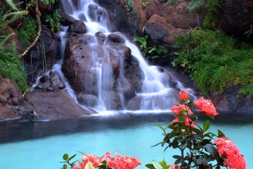 beautiful waterfall with flower hd wallpaper
