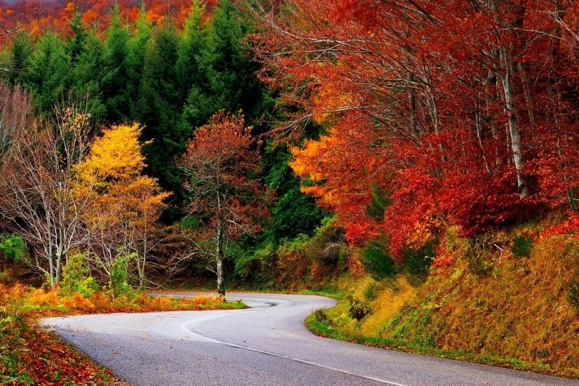 BreathTaking and Most Beautiful Fall Wallpaper for Your iPhone