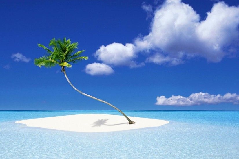 Photos-Download-Beach-Palm-Tree-Wallpapers