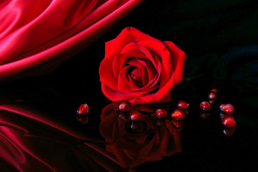 VÃ½sledok vyhÄ¾adÃ¡vania obrÃ¡zkov pre dopyt red roses