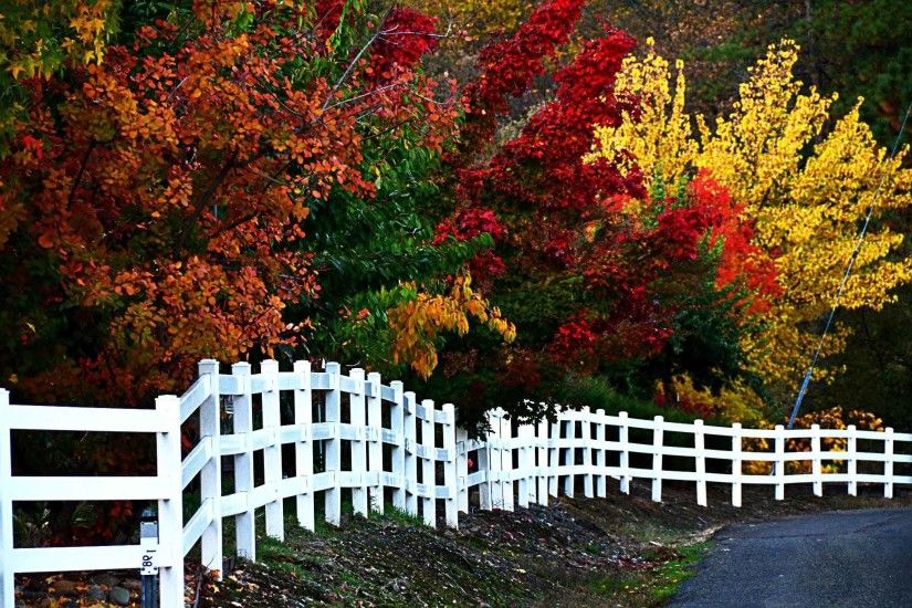 Landscapes Autumn Beauty Landscape Beautiful Fall Tree Colors Nature New HD  Wallpaper Download
