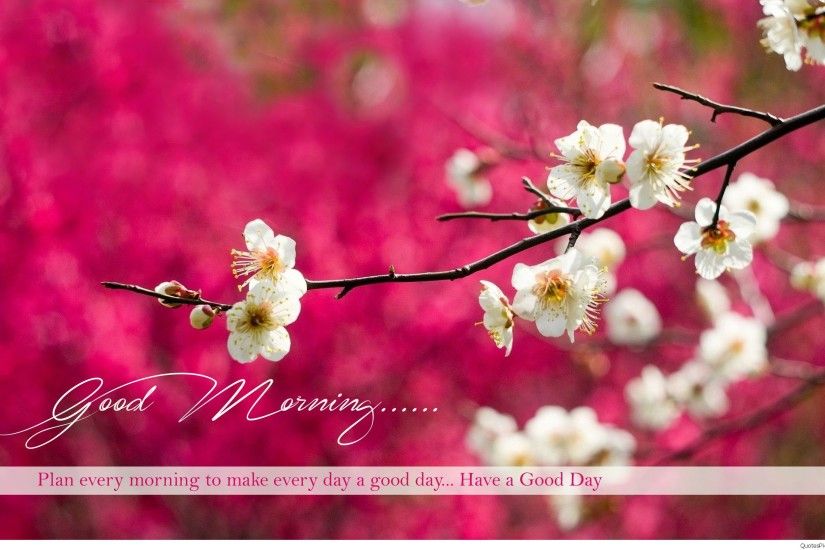 Beautiful wallpaper Good Morning quote Happy Sunday Morning cards,  pictures, wallpapers hd ...