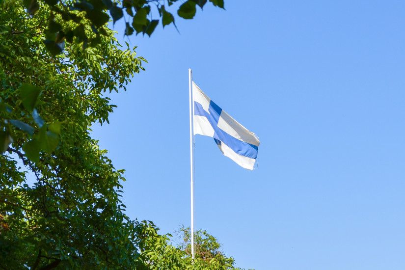 Download Finnish Flag