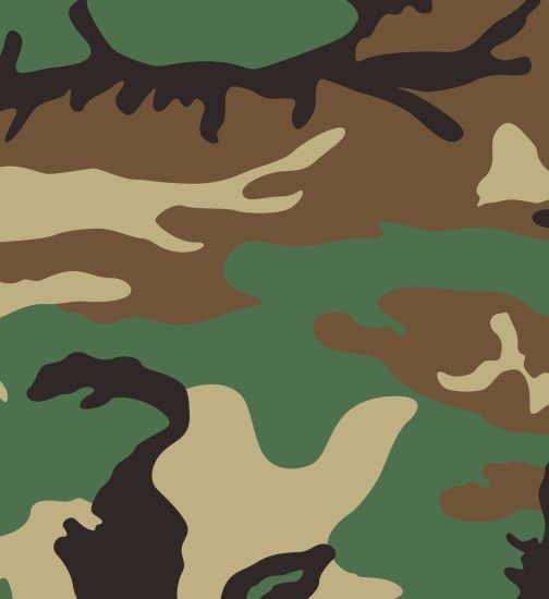 Army Camouflage US Woodland Pattern ipad 2 case