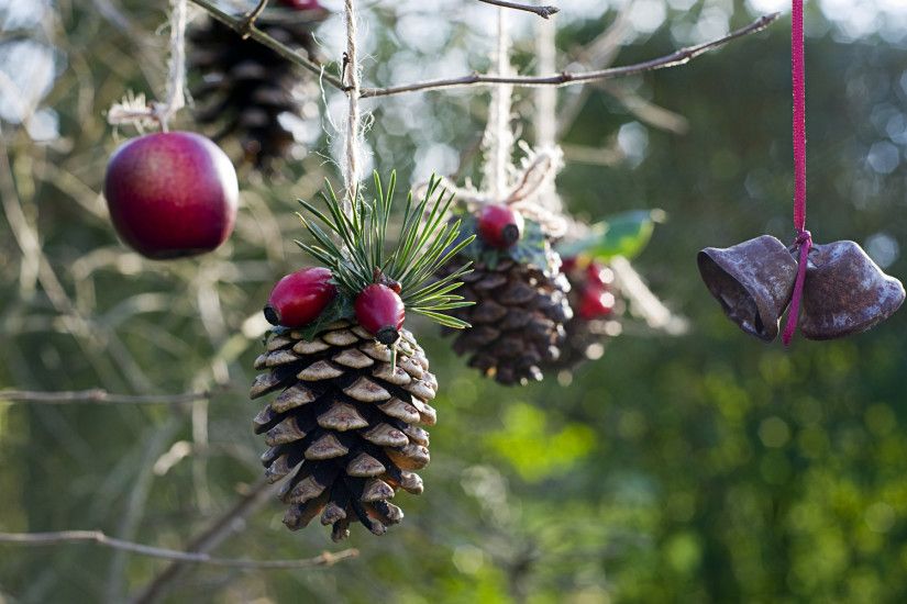 Homemade outdoor holiday decorations made from natural materials hanging in  tree