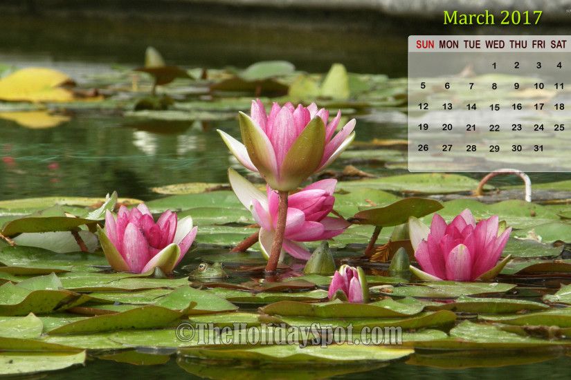 March 2017 Calendar Wallpaper with Lotus