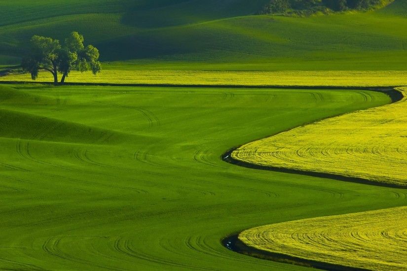green grass field 1080p nature wallpaper