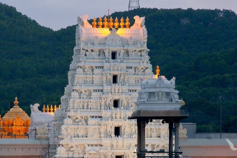 3183 Views 1385 Download Venkateswara Temple Tirumala India Photo