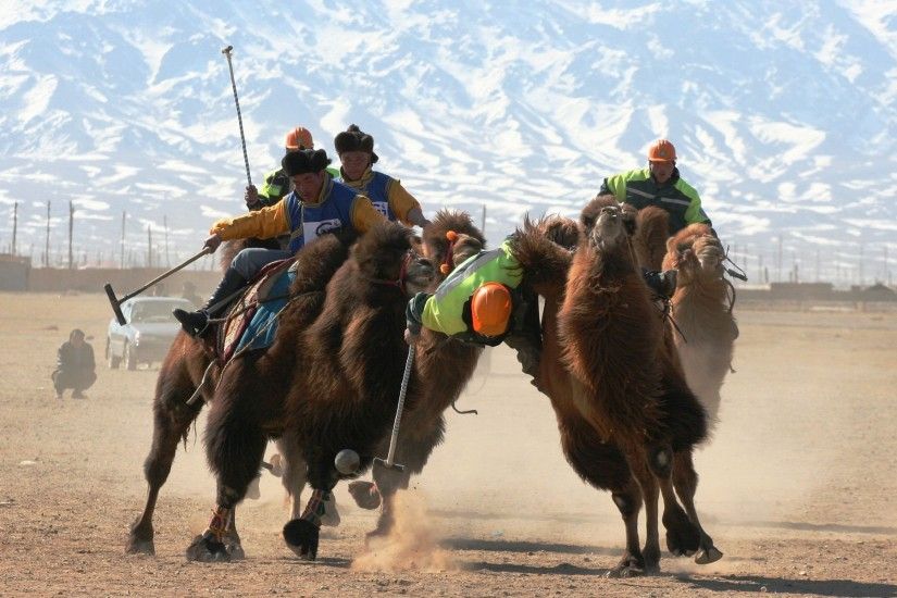 Gobi Desert Mongolia 369545