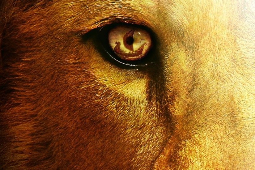 Best 25 Lion hd wallpaper ideas on Pinterest | Lion images, Lion .