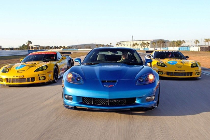 2010 Corvette Racing Sebring Cars