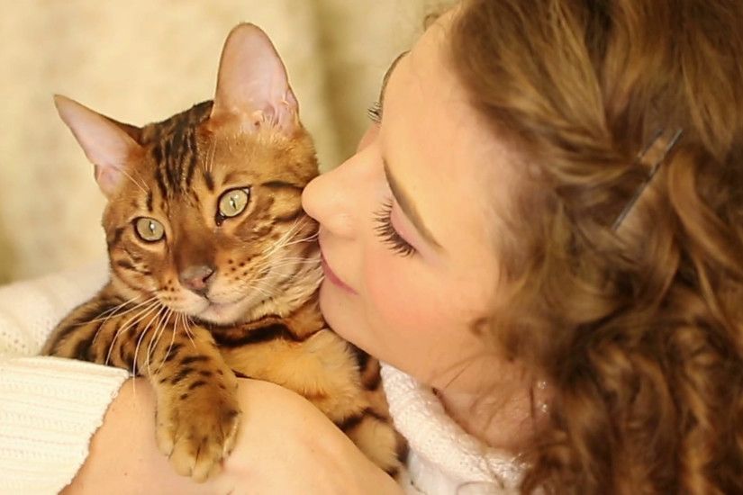 Young girl playing with a pet. Bengal cat. The girl kisses and hugs cat.  Home comfort. Best friends. Close-up. Stock Video Footage - VideoBlocks