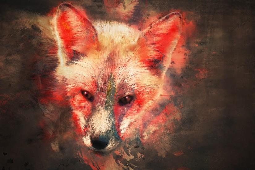 most popular fox wallpaper 1920x1080