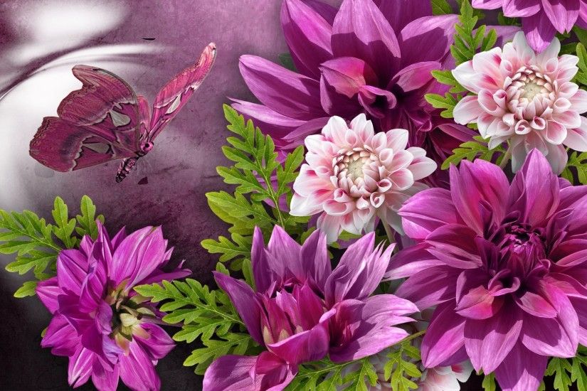 Autumn Dahlias Summer Bright Season Butterfly Bouquet Fall Pink Flowers  Rose Flower Hd Live Wallpaper :
