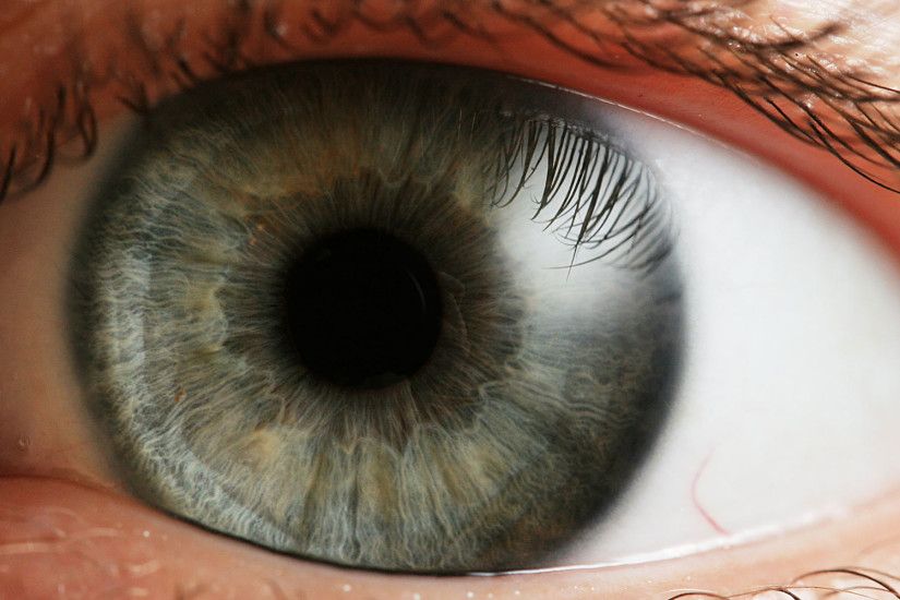 Human Eyeball