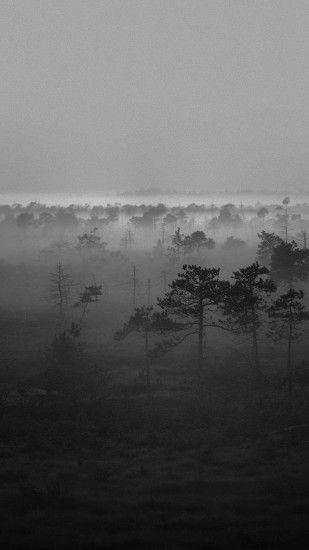 Black White Misty Woods Android Wallpaper ...