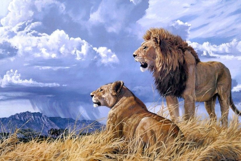 Lions. Lions Wallpaper