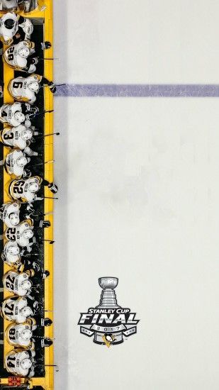 Pittsburgh Penguins Stanley Cup Champions Wallpaper