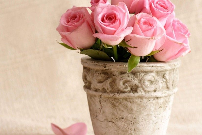Preview wallpaper roses, flowers, pot, petals 2048x2048