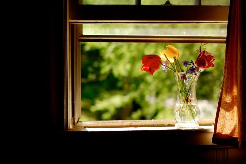 Lovely Vase in Window Wallpaper 7369