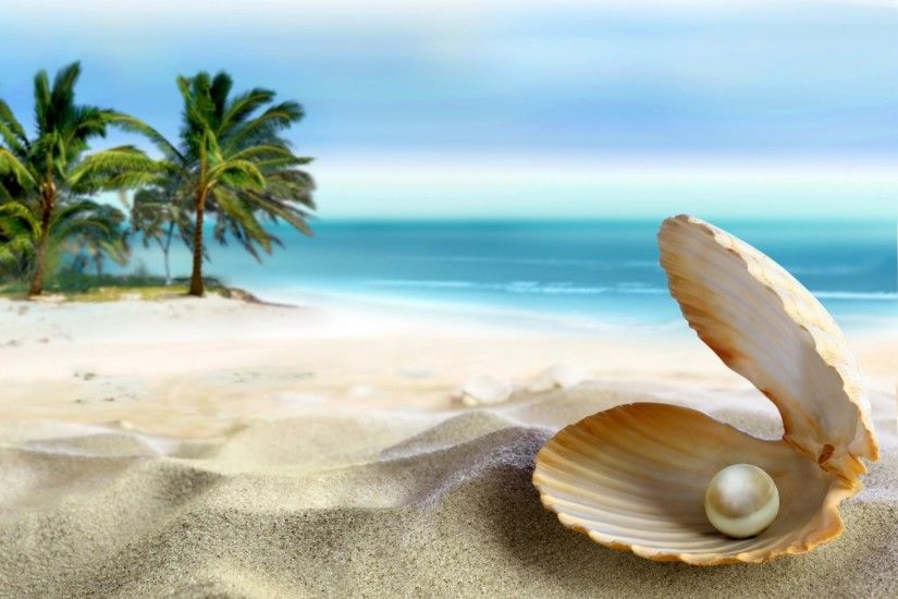 seashell tropical paradise beach coast sea blue emerald ocean palm summer  sand perl tropics beach sand