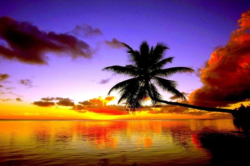 Tropical Beach Sunset Wallpaper Free Desktop 8 HD Wallpapers .