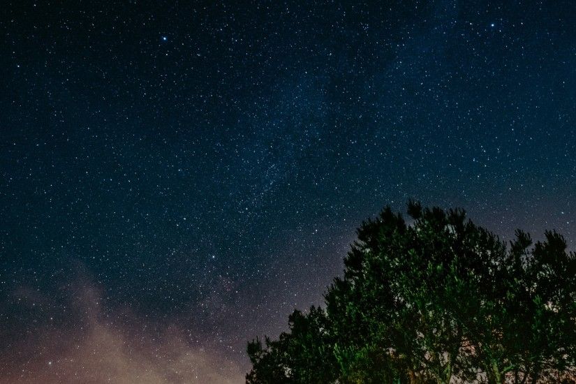 2560x1440 Wallpaper starry sky, tree, night
