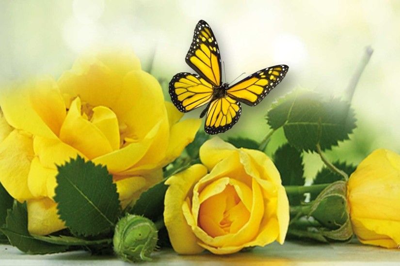 9. flowers-for-funeral-wallpaper9-600x338